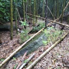 主郭奥
