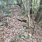 本丸南西側の石塁跡