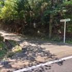 往路はここまでバスで来ました