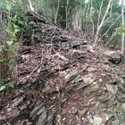 山頂近し