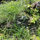 石積が遺る