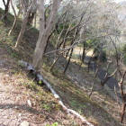 同左南西角土塁法面灌木伐採されて奇麗