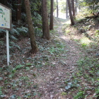 同左下、案内板の傍大手道