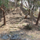 西土塁南西角よりの登城路と法面