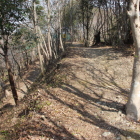 本丸西土塁上中程より北方向へ