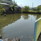 堀