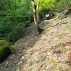 大きな石がごろごろある道