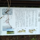 登城口の説明板