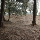主郭土塁