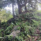 本丸の石垣