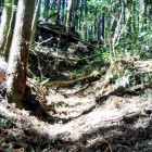 南東側からの登路　上部には虎口跡