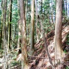 主曲輪北の切岸