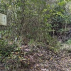 喰違い虎口