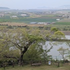 展望台からの眺望