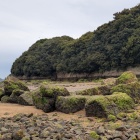 砂浜に残る石列