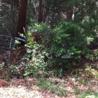 ⑤	野生動物に遭遇！（さあどこにいるかわかりますか？）