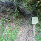 ⑦登城口