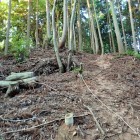 ⑧主郭と反対側の山に登るロープ