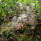 ②岩の階段