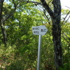 ⑦鳥の子山登山口