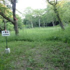 ④大首郭