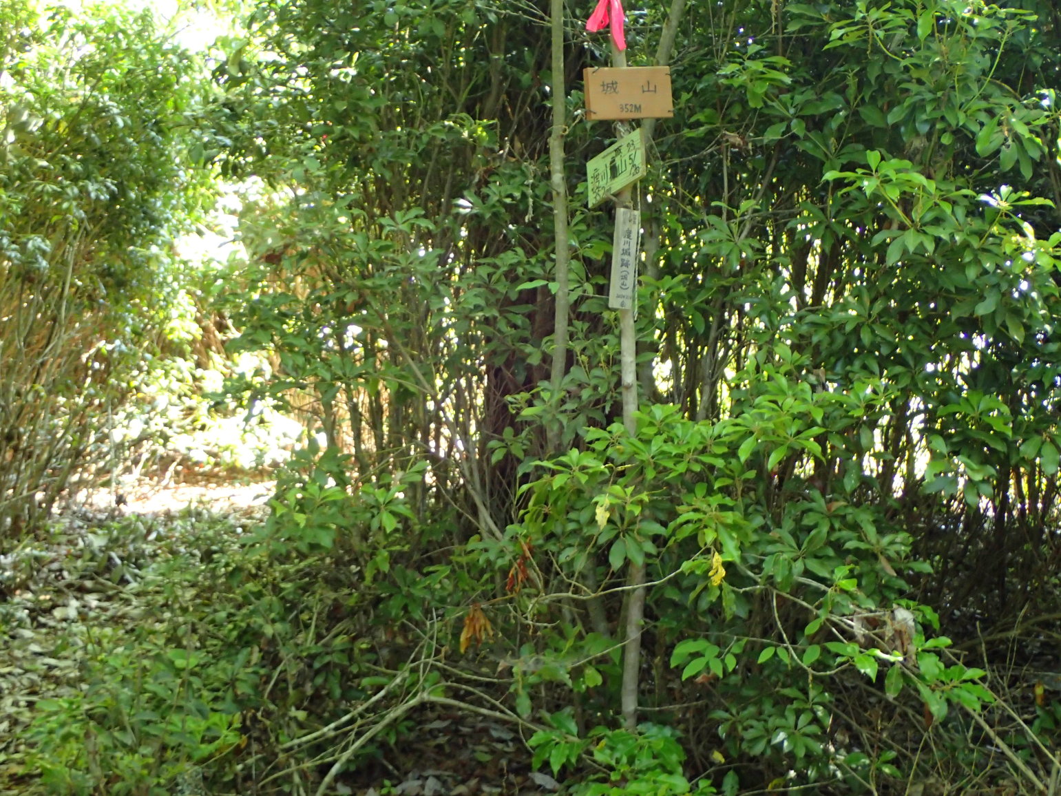 ①城山頂上(北城)