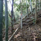 ④堀切から主郭へ直登