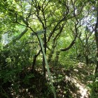 ③三の床跡