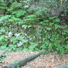 ①天守台跡手前の石垣