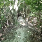 ⑩登城路