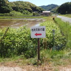⑥案内標識