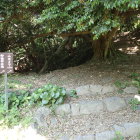 ⑨詰丸登山口