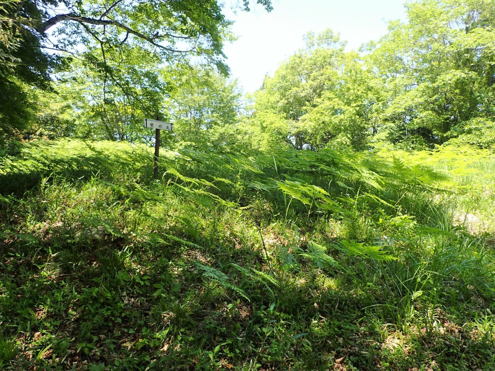①主郭(常の丸)