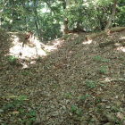 ④登城路