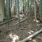 ②主郭1