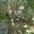 ⑧登城路