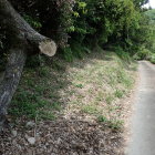 ⑩登城口
