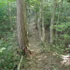 ⑥登城路