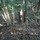 ⑥土塁上から主郭を見る