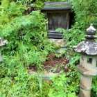 ④鵯尾神社