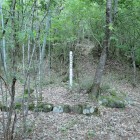 ⑧市場城跡桜公園標柱