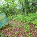 ⑤馬場