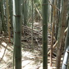 ②横堀と土塁