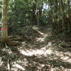 ⑤登城路