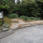 ⑤馬洗池と猫