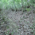 ⑦登城路