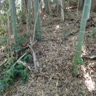 ⑦登城路
