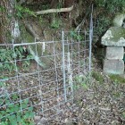 ⑧登り口