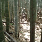 ①横堀と土塁