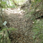 ⑧白鹿谷分岐点